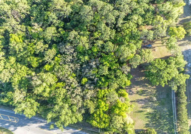 4th image of Tbd County Road 48, Yalaha, FL 34797 | MLS# G5109900