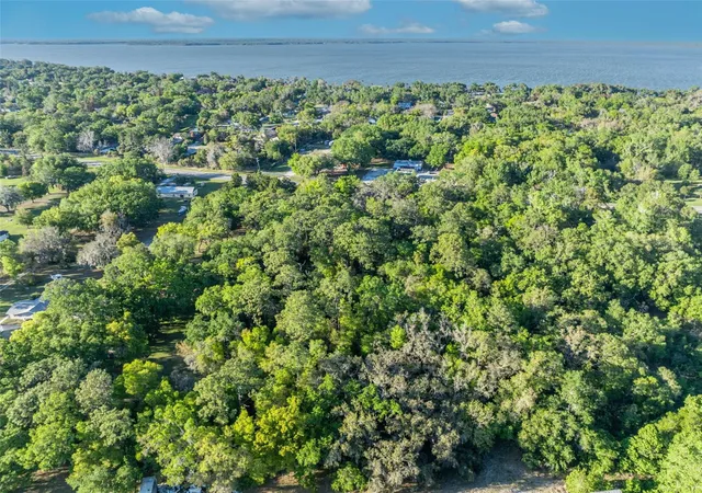 10th image of Tbd County Road 48, Yalaha, FL 34797 | MLS# G5109900