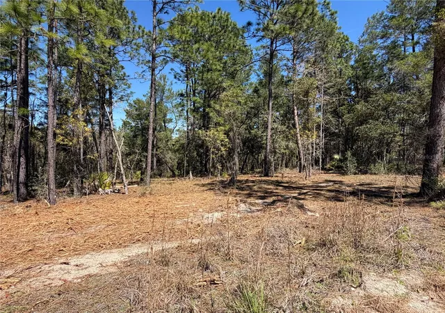 Homes for sale in Morriston, FL | 00000 Se 58th Pl, Morriston, FL 32668 | MLS# W7884090