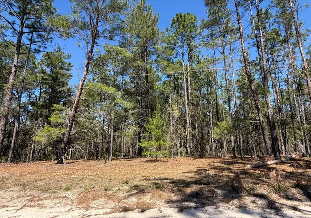 Homes for sale in Morriston, FL | 00000 Se 58th Pl, Morriston, FL 32668 | MLS# W7884090