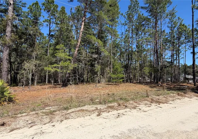 Homes for sale in Morriston, FL | 00000 Se 58Th Pl, Morriston, FL 32668 | MLS# W7884090