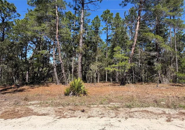 Homes for sale in Morriston, FL | 00000 Se 58Th Pl, Morriston, FL 32668 | MLS# W7884090