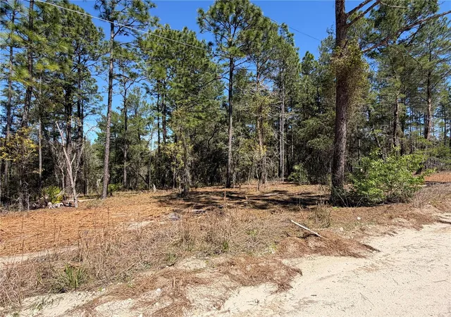 Homes for sale in Morriston, FL | 00000 Se 58Th Pl, Morriston, FL 32668 | MLS# W7884090