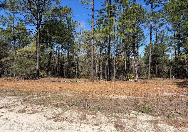 Homes for sale in Morriston, FL | 00000 Se 58th Pl, Morriston, FL 32668 | MLS# W7884090