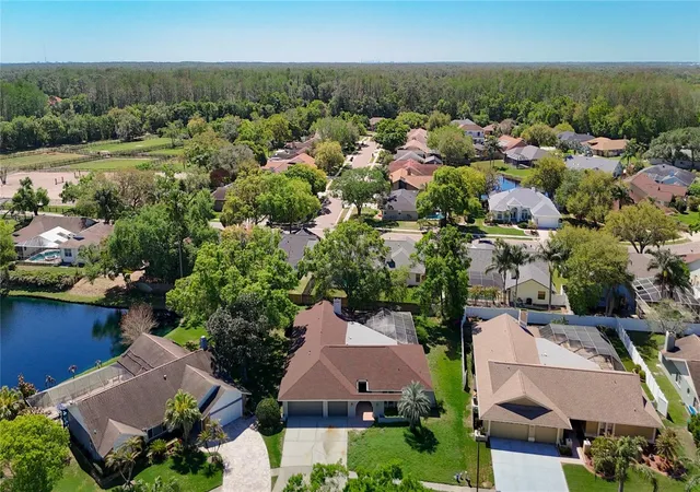 64th image of 4072 Belmoor Dr, Palm Harbor, FL 34685 | MLS# TB8489064