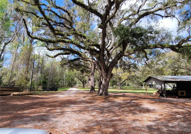 Photo 4 of Single family home for sale at 22397 Mondon Hl Rd, Brooksville, FL 34601 | MLS# W7884115 | Listing updated on 2026-10-01