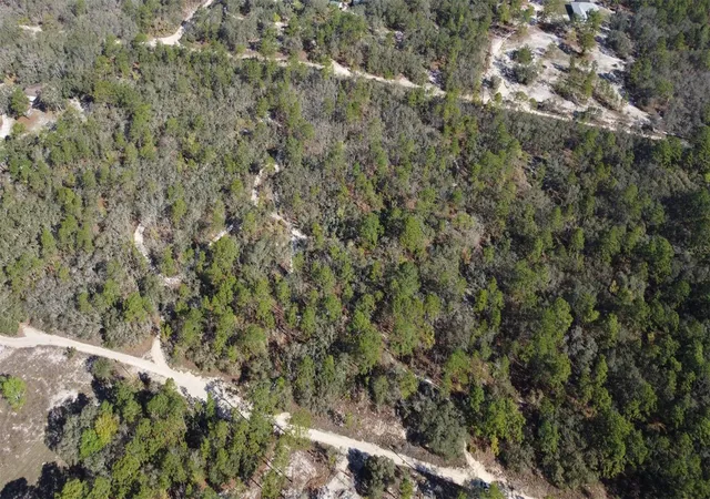 4th image of 4771 W Herman Ct, Homosassa, FL 34446 | MLS# TB8489219