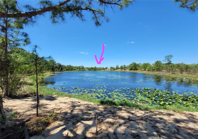 3rd image of 433 Gloria Blvd, Lake Placid, FL 33852 | MLS# A4687119