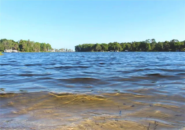 43rd image of 25415 Ne State Road 26, Melrose, FL 32666 | MLS# GC538739