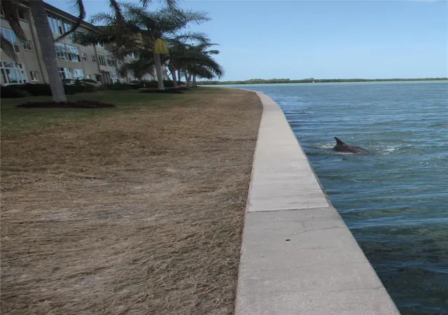 53rd image of 7 Dunoon Pl #102, Dunedin, FL 34698 | MLS# TB8489430