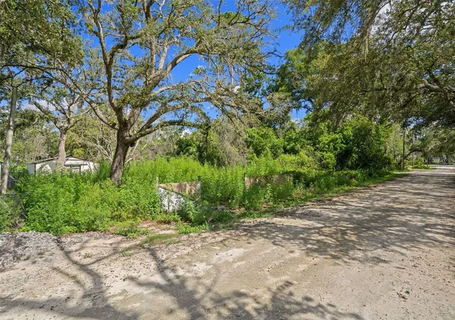 Homes for sale in Dade City, FL | 3241 Taffeta St, Dade City, FL 33523 | MLS# W7884143