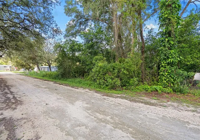 Homes for sale in Dade City, FL | 3241 Taffeta St, Dade City, FL 33523 | MLS# W7884143