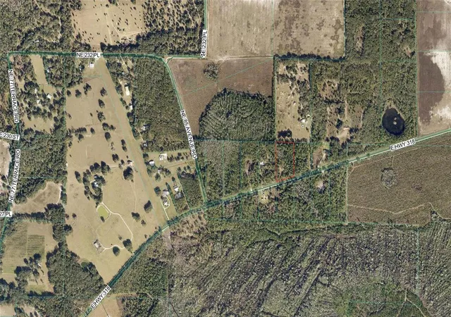 4th image of 8798 E Hwy 318, Citra, FL 32113 | MLS# OM721326