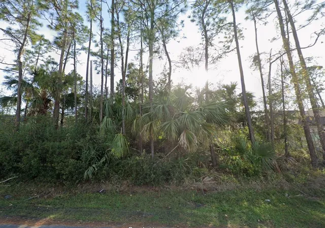 Photo 1 of Land for sale at 24 Pony Ln, Palm Coast, FL 32164 | MLS# FC317151 | Listing updated on 2026-03-24