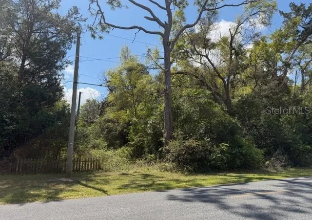 3rd image of Doc Karelas Dr, Newberry, FL 32669 | MLS# GC538769