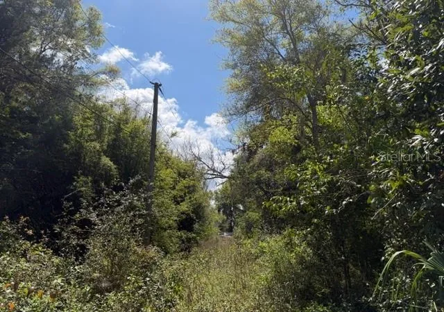 5th image of Doc Karelas Dr, Newberry, FL 32669 | MLS# GC538769