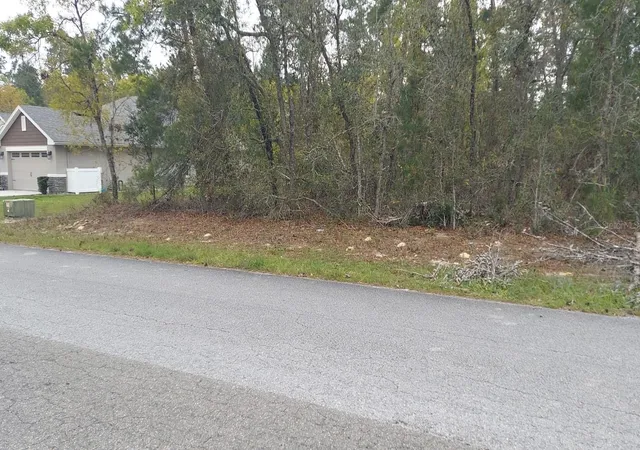 1st image of 3 Tall Marigolds Ct,, Homosassa, FL 34446 | MLS# TB8489846