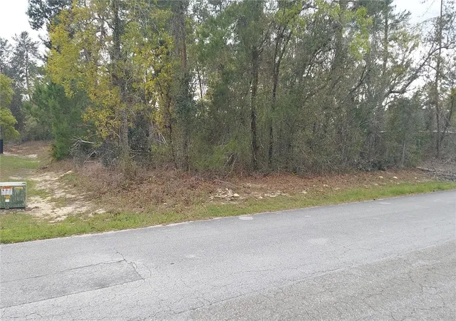 2nd image of 3 Tall Marigolds Ct,, Homosassa, FL 34446 | MLS# TB8489846