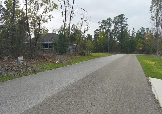 3rd image of 3 Tall Marigolds Ct,, Homosassa, FL 34446 | MLS# TB8489846