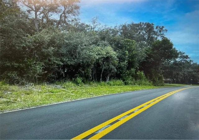 4th image of 3 Tall Marigolds Ct,, Homosassa, FL 34446 | MLS# TB8489846