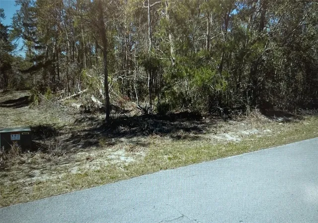5th image of 3 Tall Marigolds Ct,, Homosassa, FL 34446 | MLS# TB8489846