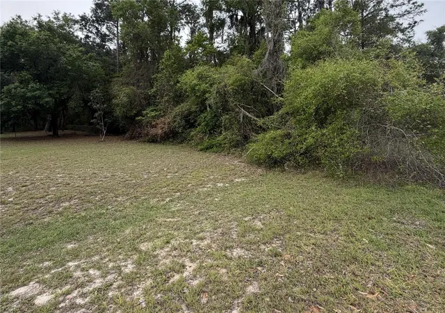 1st image of 24615 Se 101st Ave, Hawthorne, FL 32640 | MLS# GC538807