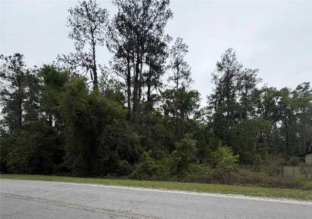 5th image of 24615 Se 101St Ave, Hawthorne, FL 32640 | MLS# GC538807