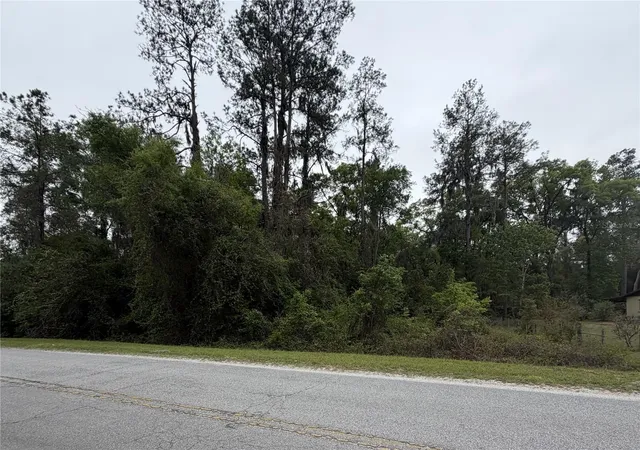 6th image of 24615 Se 101st Ave, Hawthorne, FL 32640 | MLS# GC538807