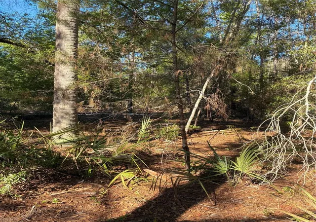 Homes for sale in Paisley, FL | 24533 Pink Panther Rd, Paisley, FL 32767 | MLS# G5110075
