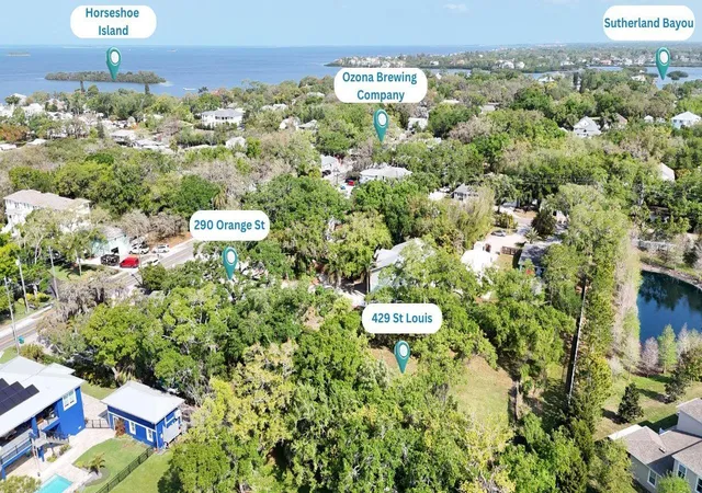 5th image of 429 St Louis Ave, Palm Harbor, FL 34683 | MLS# TB8490520