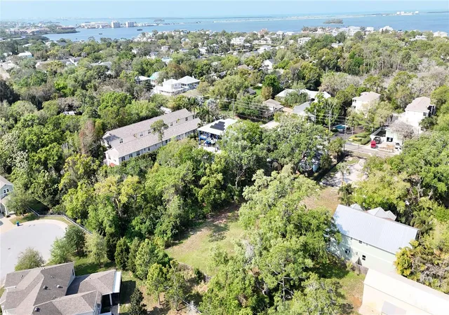 1st image of 429 St Louis Ave, Palm Harbor, FL 34683 | MLS# TB8490520