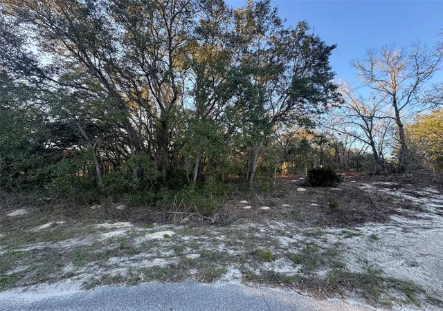 Photo 1 of Land for sale at 0 Sw 147th Street Rd, Ocala, FL 34473 | MLS# OM721489 | Listing updated on 2026-05-08