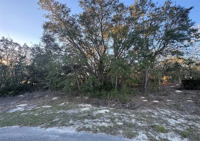Photo 3 of Land for sale at 0 Sw 147th Street Rd, Ocala, FL 34473 | MLS# OM721489 | Listing updated on 2026-05-08