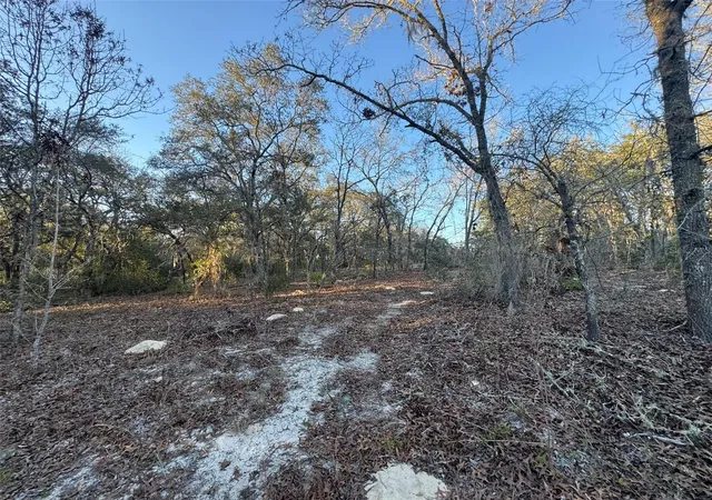Photo 3 of Land for sale at 0 SW 147th Street Rd, Ocala, FL 34473 | MLS# OM721489 | Listing updated on 2026-05-08