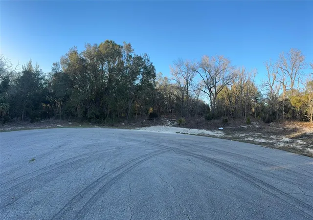 Photo 4 of Land for sale at 0 SW 147th Street Rd, Ocala, FL 34473 | MLS# OM721489 | Listing updated on 2026-05-08