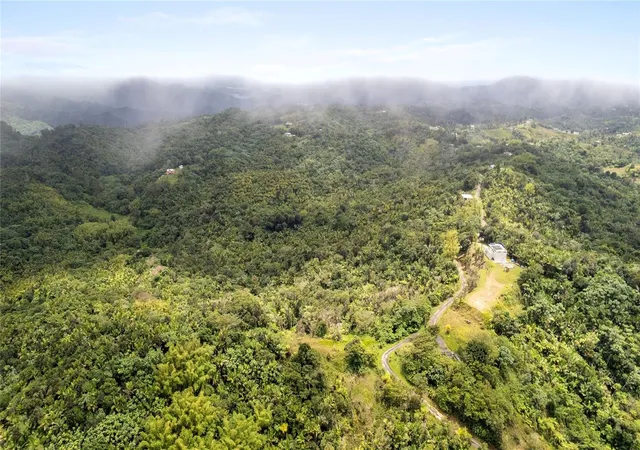 Homes for sale in Guayama, PR | Km 147 Carr 179, Guayama, PR 00784 | MLS# PR9120198