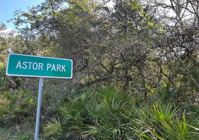 1st image of County Road 445a, Astor, FL 32102 | MLS# R4910943