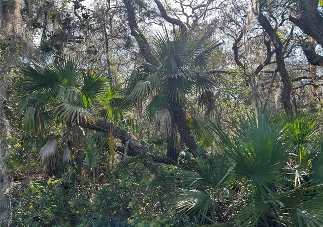 2nd image of County Road 445a, Astor, FL 32102 | MLS# R4910943