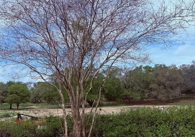 6th image of 3330 Plymouth Sorrento Rd, Apopka, FL 32712 | MLS# O6393769