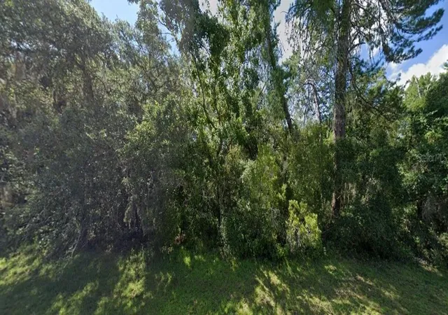 Photo 3 of Land for sale at Sw 19th Avenue Rd, Ocala, FL 34473 | MLS# G5110155 | Listing updated on 2026-10-17
