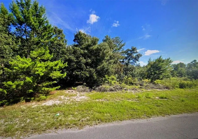 Photo 3 of Land for sale at Sw 41st Court, Ocala, FL 34473 | MLS# G5110158 | Listing updated on 2026-10-17