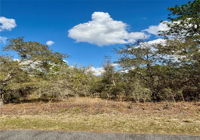 Homes for sale in Dunnellon, FL | 0000 Sw Hillcrest Ave, Dunnellon, FL 34431 | MLS# OM721567