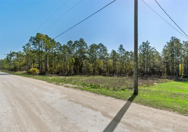 Homes for sale in Weeki Wachee, FL | 12348 Snowy Egret Ave, Weeki Wachee, FL 34614 | MLS# W7884281