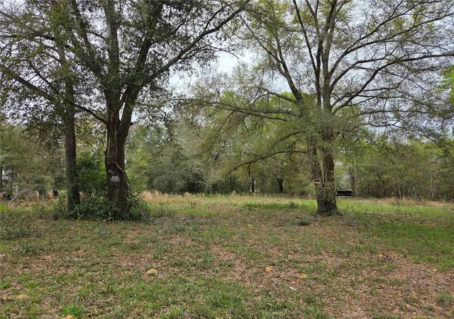 Photo 1 of Land for sale at 5870 Ne 139th Avenue, Williston, FL 32696 | MLS# OM721602 | Listing updated on 2026-03-27