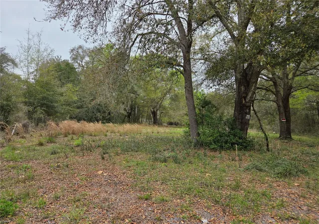 Photo 2 of Land for sale at 5870 Ne 139th Avenue, Williston, FL 32696 | MLS# OM721602 | Listing updated on 2026-03-27
