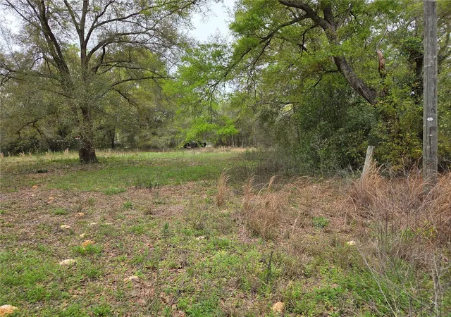 Photo 3 of Land for sale at 5870 Ne 139th Avenue, Williston, FL 32696 | MLS# OM721602 | Listing updated on 2026-03-27