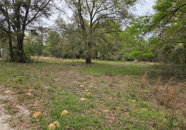 Photo 3 of Land for sale at 5870 NE 139th Avenue, Williston, FL 32696 | MLS# OM721602 | Listing updated on 2026-03-27