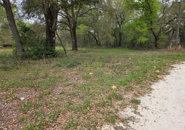 Photo 4 of Land for sale at 5870 NE 139th Avenue, Williston, FL 32696 | MLS# OM721602 | Listing updated on 2026-03-27