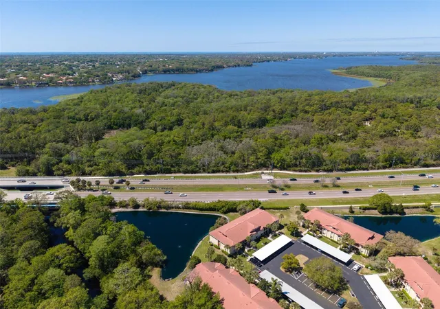 56th image of 1801 E Lake Rd #20C, Palm Harbor, FL 34685 | MLS# TB8491123