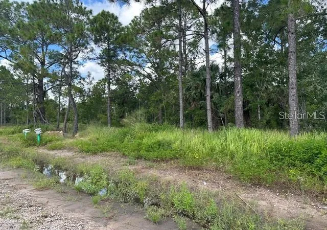 Homes for sale in Kissimmee, FL | 274 Spoonbill Dr, Kissimmee, FL 34759 | MLS# OM721641